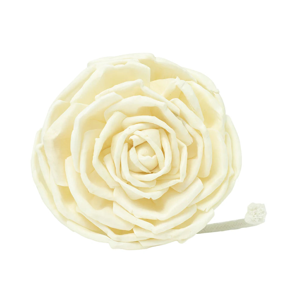Spongelle - Floret Replacement