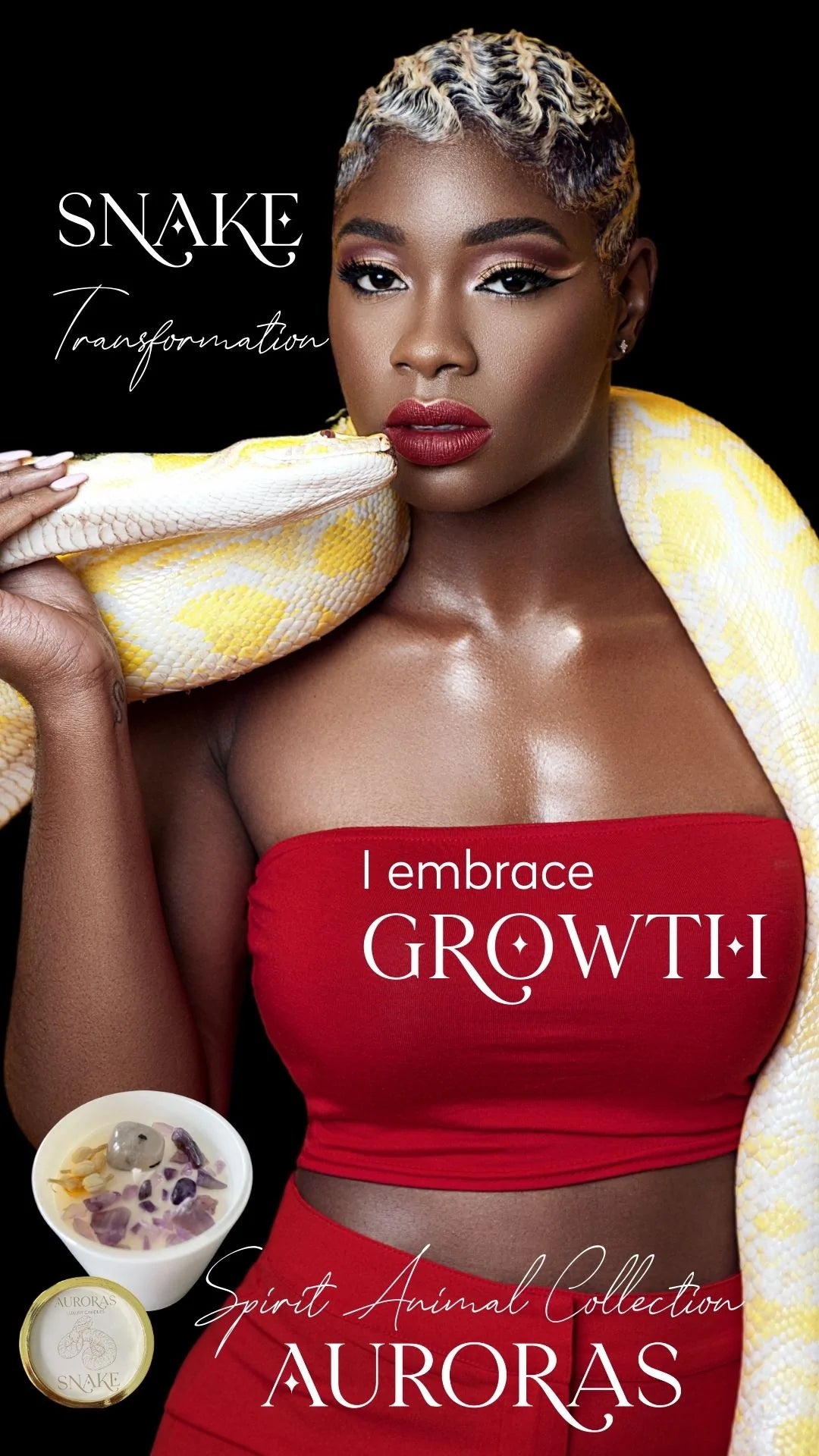 Auroras - Spirit Animal Collection Snake "Transformation" Luxury Candle
