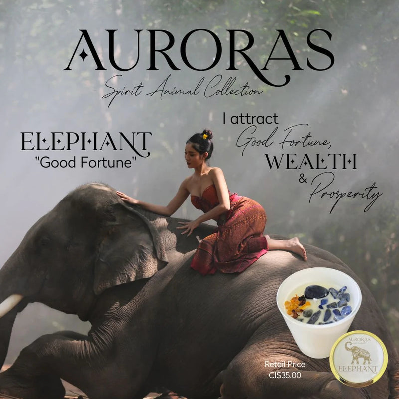 Auroras - Spirit Animal Collection Elephant "Good Fortune" Luxury Candle